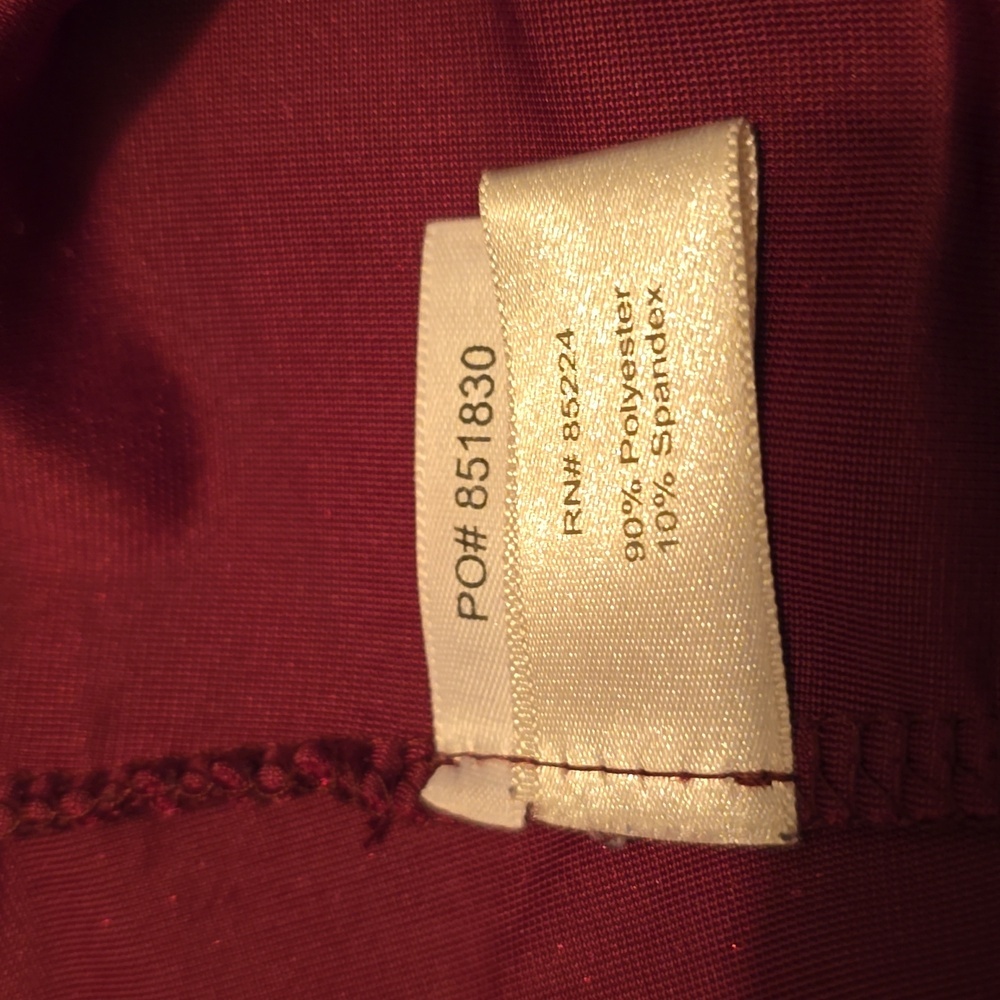 Boston Proper Burgandy Long Sleeve Whimsigoth Velvet Top S - Picture 4 of 5